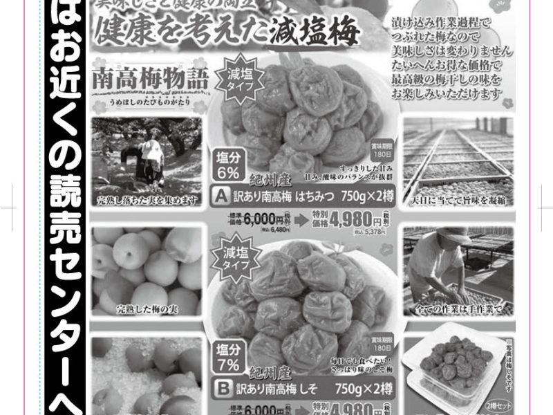 訳あり紀州南高梅 1.5kg【8/31締切】